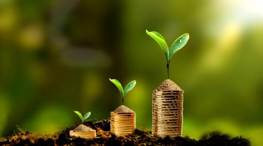 <font color='pasific'>154家保險(xiǎn)機(jī)構(gòu)獲經(jīng)營(yíng)外匯</font>